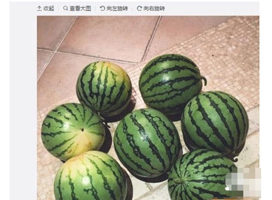 ��㤣����������ƹײ��Ͱ����磡��������ֻ�������˺�����ӱ