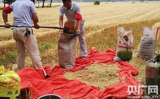 �����׵㡿�������������� �屣ƶ�������˳� Ѳ���Ա������