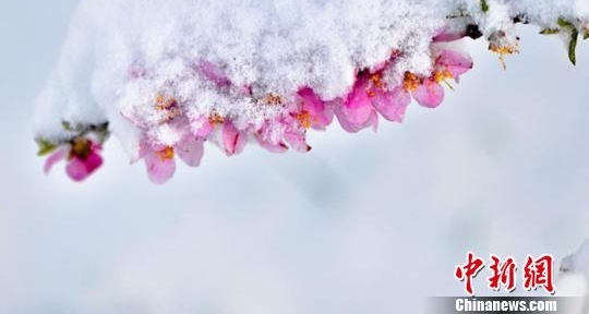 �������С��ĺ����ѩ �����뻭��