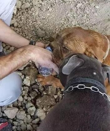 ���ӳ����޹���ȴ���ⷢ��һ���������񣬽���ȳ�������������ʹ