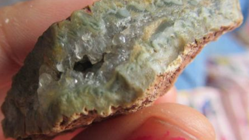 С��Ϊ�˲�����ɽ�ڿ�Ѱ���������ĸ�����������Ӧ���£�