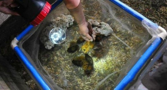 �����ں��߼񵽡���������ؼң�һ��ʱ���ȴ�����ǳ��ĺ���