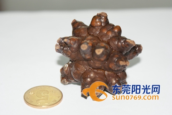 7Ѯ���˰�����ȡ������ʯ�� ����������Ʒ�ղ�