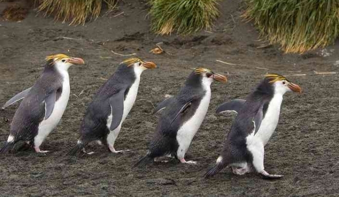 �Ĵ�����һС�������ռ�죬���ص���조���ĳ��֡�