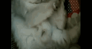 �����Ѿ�������������Ķ��ǡ���������Ϊɶ�������ǡ�����