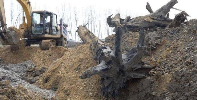 �����ڹ�������һ�ŷǳ�����������ļ�ֵ��Ȼ���ɹ���