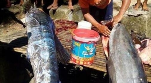 Ұ�����������ֹ��조���������ŵ���!�������ֻ���һЩ����