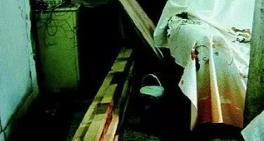 ����������ഫȾ�������ջ�ŻѪ��С�ﱻ�Լ�һ�����ֶ�������