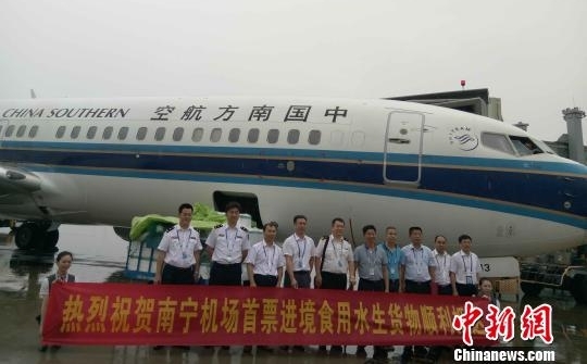 �����׸�����ʳ��ˮ������ָ���ڰ�����