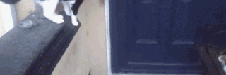 �����Ѿ�������������Ķ��ǡ���������Ϊɶ�������ǡ�����