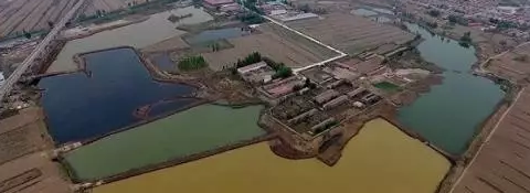 ��ķ�������83�����ˣ���ؼ�¼��ȫ��