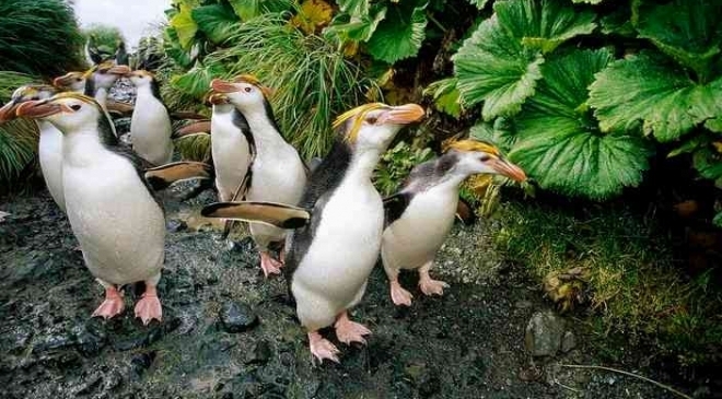 �Ĵ�����һС�������ռ�죬���ص���조���ĳ��֡�