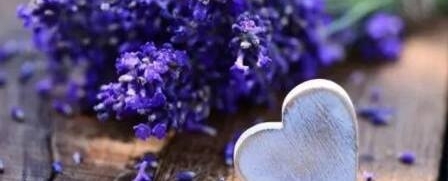 �Ϻ�޹�²ݽ����ˣ������������㣬һ���߹���Զ������