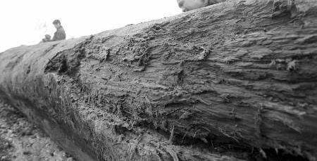 �����ڹ�������һ�ŷǳ�����������ļ�ֵ��Ȼ���ɹ���