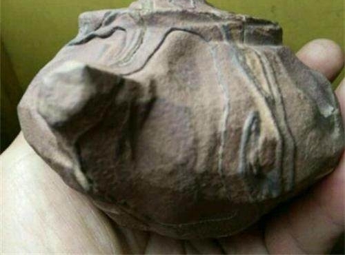 ũ񵽡Ҷ˵Ҫ˲ˣؼȴ˵ײ˴ˣ