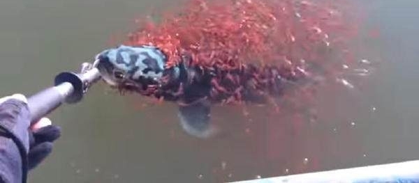 ӵʱһ㣬©ˮʱһȻ£