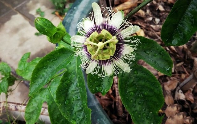 ����������ô��һ�����ӾͿ���������̨����Բ�����