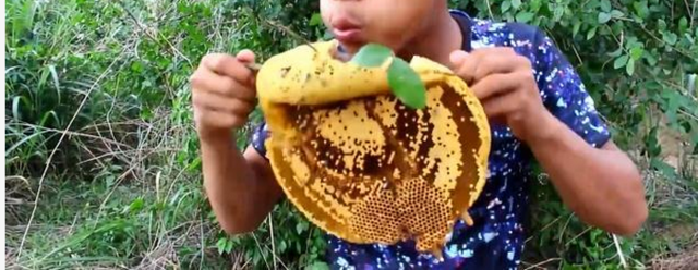 ũ��С����ɽ�ɻ��Ȼ����һ������������������ϣ�