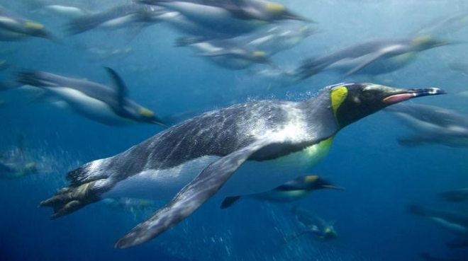 �Ĵ�����һС�������ռ�죬���ص���조���ĳ��֡�