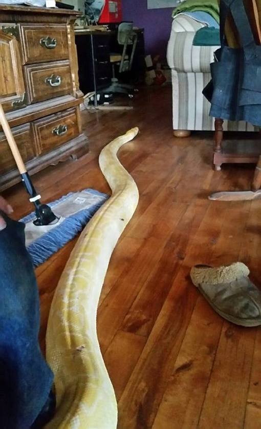 ����5�׳���������ͻȻ��ʧ�����ܺ��Ȼ�ڼҿ�����һĻ��