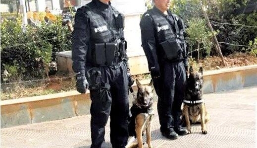 �����䶨һ��Ȯ��Ⱥ���ϳ��ӷ� �����˵�����