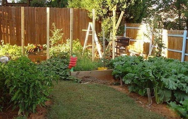 ��ũ���и�Ժ�Ӿ��Ǻã�������ⷿ����һ���Ӳˣ�����Զ��Բ���