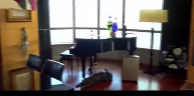 �ε�����լ�ھ���ֱ���죬�����������ƽ���ݻ�װ��Ũ���ŵ��