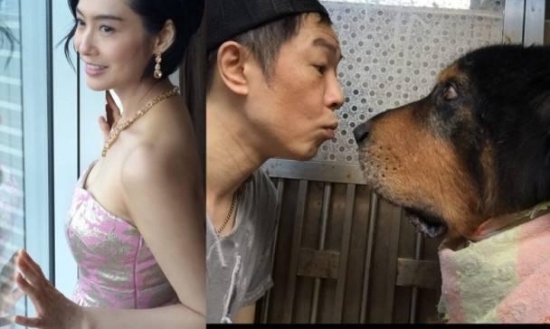 ԭ��̩�ϺͲ����������������ȱ�����˼���Ѿ�׼����ϵ�����ˣ�
