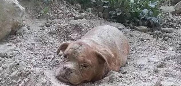 ���ӳ����޹���ȴ���ⷢ��һ���������񣬽���ȳ�������������ʹ