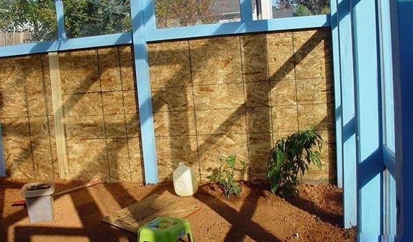 ��ũ���и�Ժ�Ӿ��Ǻã�������ⷿ����һ���Ӳˣ�����Զ��Բ���