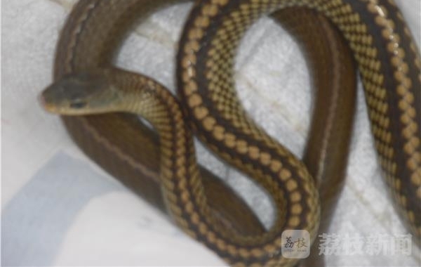 ������о������׳��˻��� ʮ������