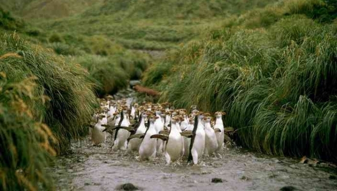 �Ĵ�����һС�������ռ�죬���ص���조���ĳ��֡�