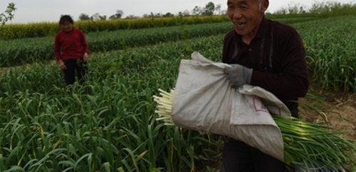 ������Ůû��Ů����ѧ�����˳� ũ�常ĸ��1����Ů����