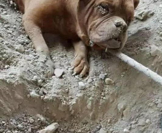 ���ӳ����޹���ȴ���ⷢ��һ���������񣬽���ȳ�������������ʹ