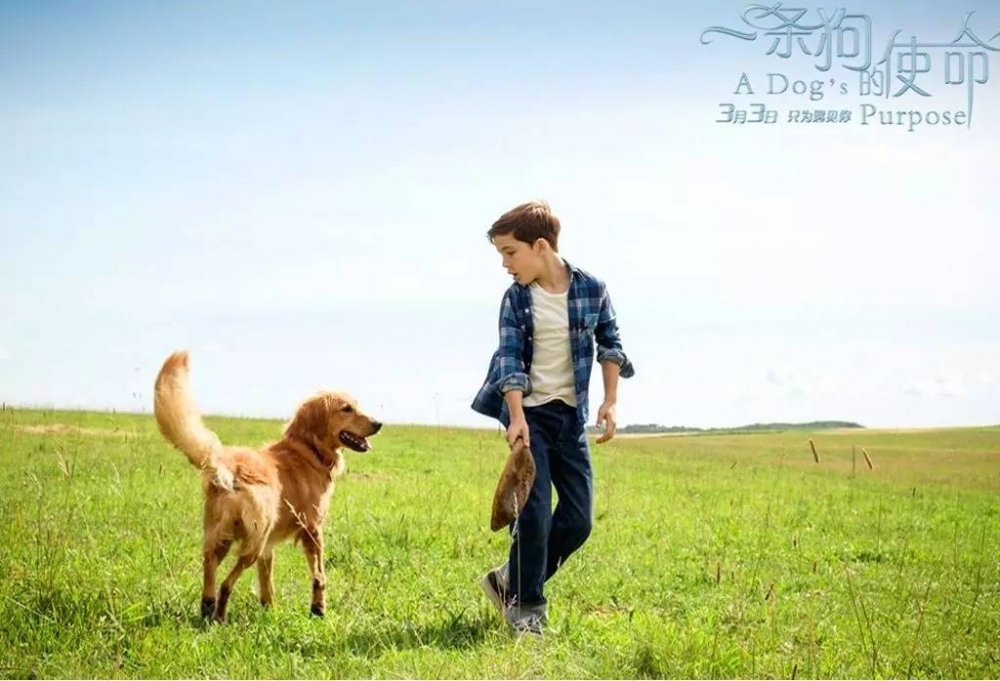 ��Ӱ����׬Ǯ��ʱ����ĳ����ս�����