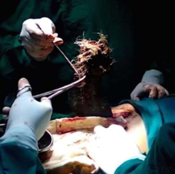 ��ʳ�˾�Ȼʲô���ԣ�����ʯͷֽ��������������Ȼ�����У�