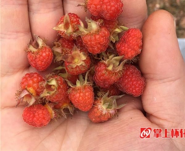 �����������ݡ������ζͯ������ζ��