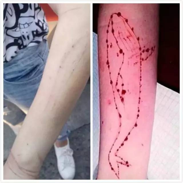 ��Ů���е��̱�����������Ϸ ʵΪ����Ű������