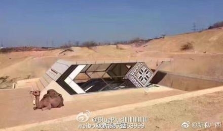 ��վ���＂³��ѷ＂ ＂�ٵ��?�＂�����̶�û�ۿ�