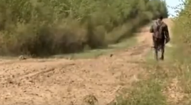 ������ɽ��Ұ��������������Ұ����ʮ���ļһ����ſ��װ��