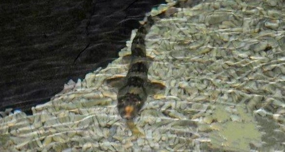 �����ں��߼񵽡���������ؼң�һ��ʱ���ȴ�����ǳ��ĺ���