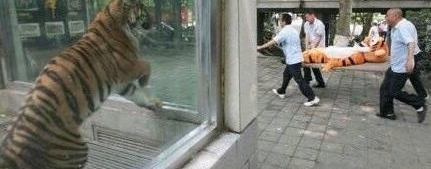 Ϊ˷ֹϻܣ԰һɱӺҵ