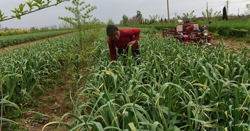 ������Ůû��Ů����ѧ�����˳� ũ�常ĸ��1����Ů����