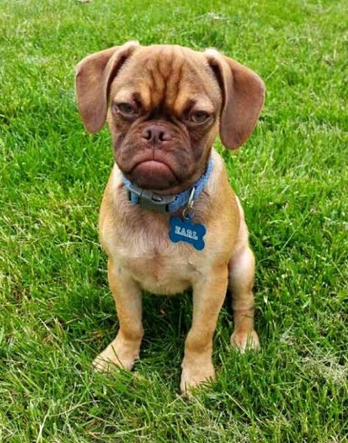 ⳤ౬ ˬֻ밲سԺ˯