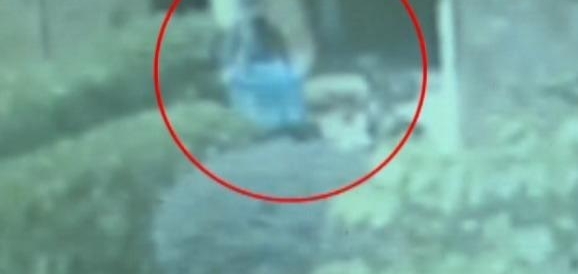 ��ݴ�����Ǹ�＂�?�＂ ר͵Ů����Ʒ��Ů��