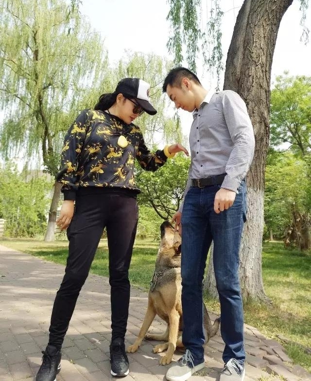 62��������ɹ��С�����������ܺ��գ���������