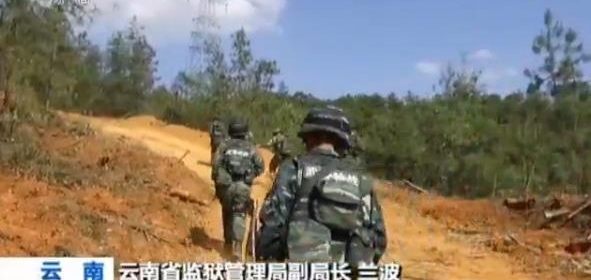 �ֳ���Ƶ�������ӷ����ֲ��ڲ�ʯ������ ���˺󱻲�