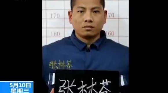 �ֳ���Ƶ�������ӷ����ֲ��ڲ�ʯ������ ���˺󱻲�