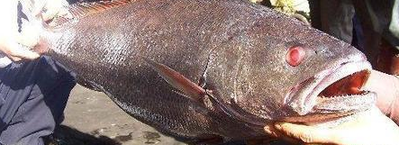 ������������ø�ר�Ҽ��������������������£�