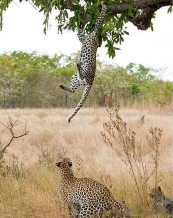 С���Ӿʹ����ϵ��¾���һ�̣�������һԾ����סС��!